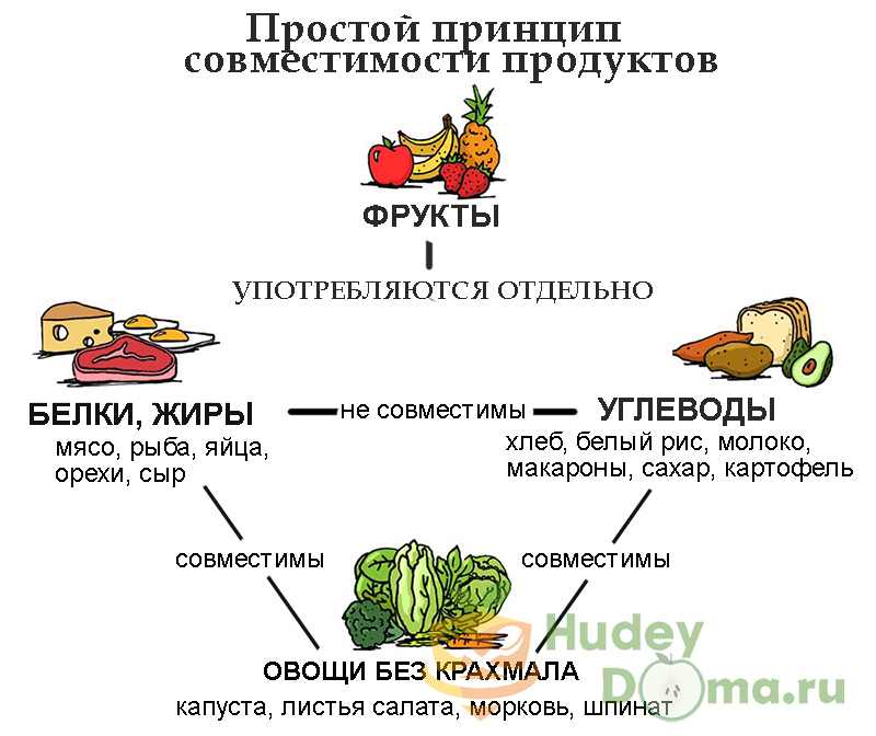Совместимость продуктов питания Совместимость и несовместимость продуктов питания