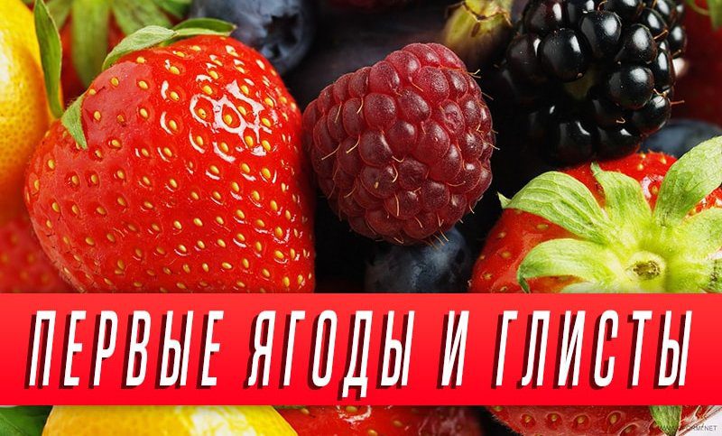 ягоды от глистов