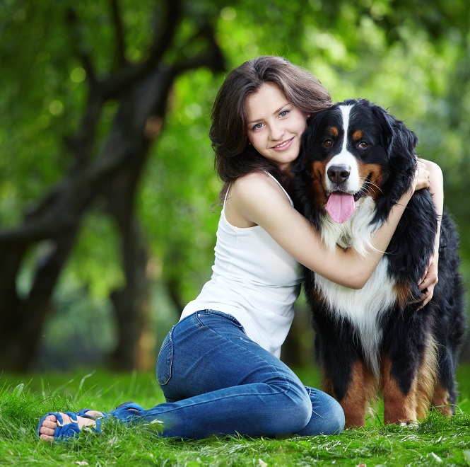 Заражение эхинококкозом от больной собаки