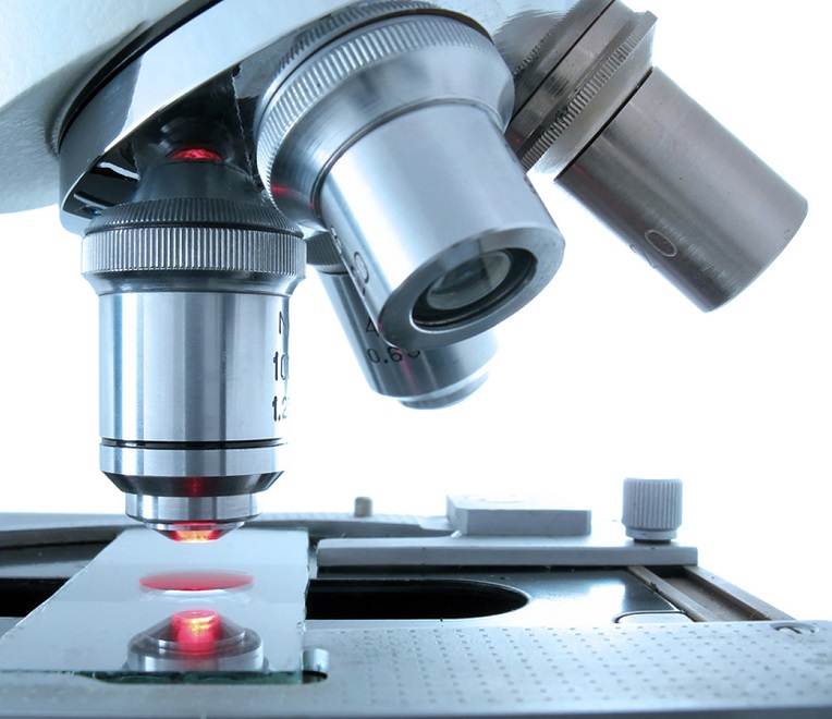 Методы диагностики токсоплазмоза