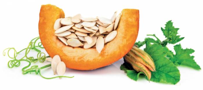 семена тыквы