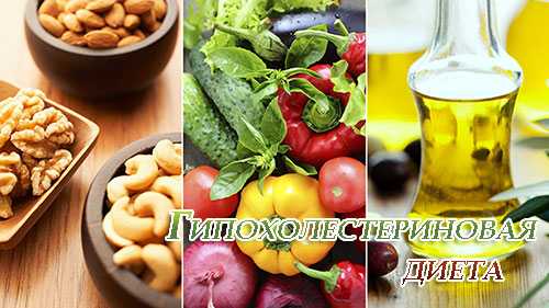 u0413u0438u043fu043eu0445u043eu043bu0435u0441u0442u0435u0440u0438u043du043eu0432u0430u044f u0434u0438u0435u0442u0430