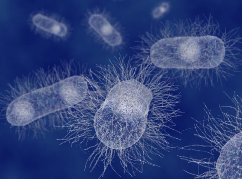 Дизентерия