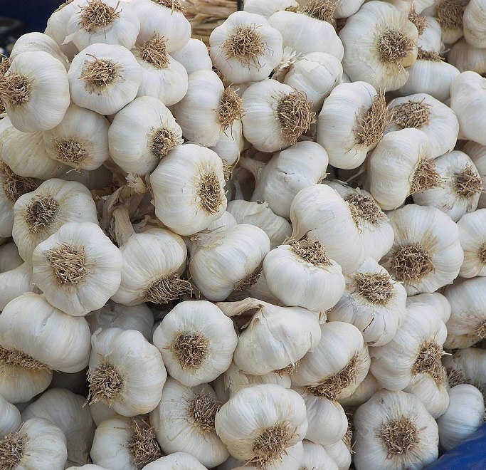 Чеснок - полезный продукт