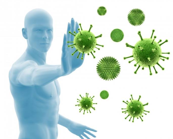 укрепление иммунитета