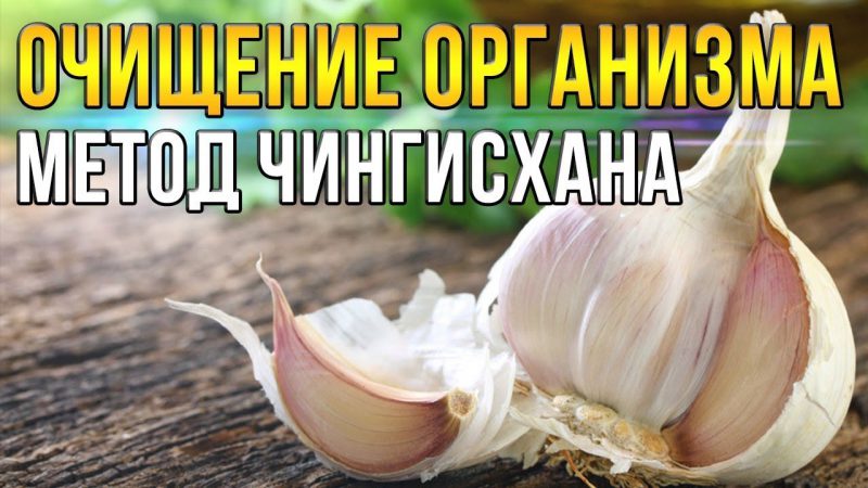 Очищение организма по методу Чингисхана