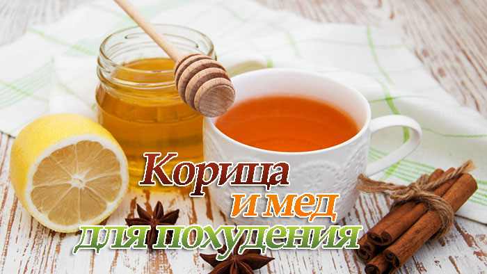 u041au043eu0440u0438u0446u0430 u0441 u043cu0435u0434u043eu043c