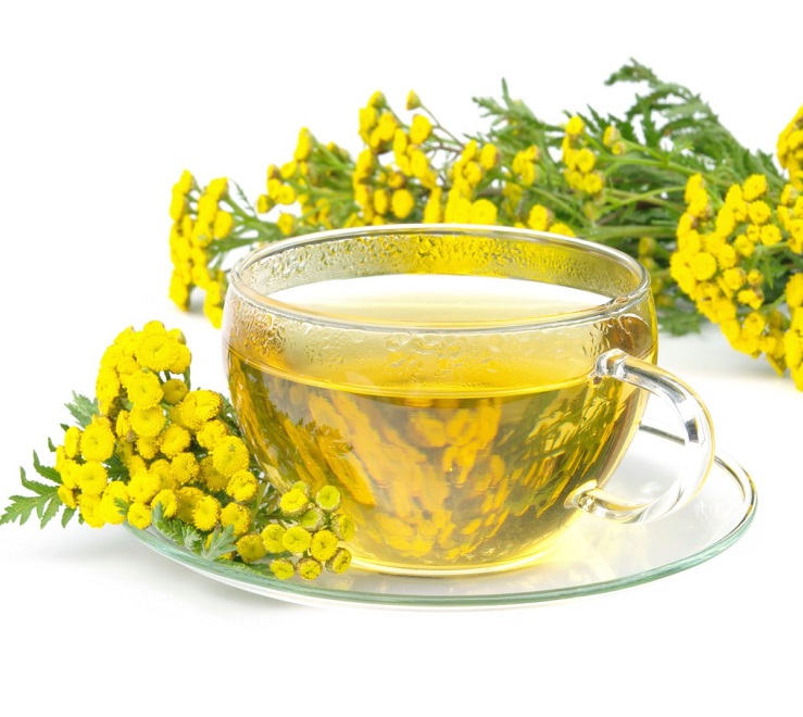 Отвар пижмы от паразитов