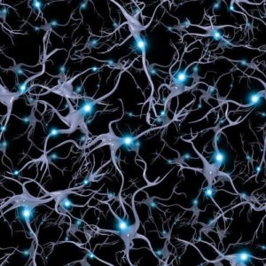 Действие пластыря Экселон