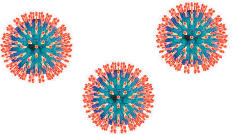 вирус простого герпеса