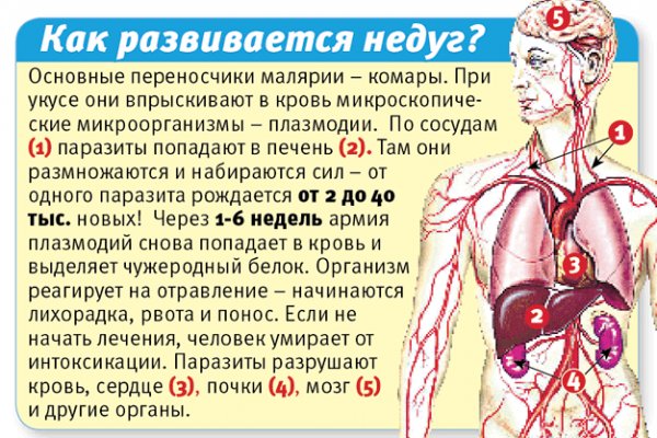 как развивается малярия