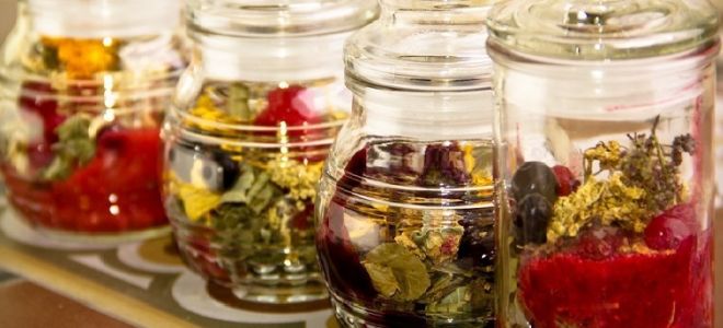 Как очистить организм от паразитов народными средствами