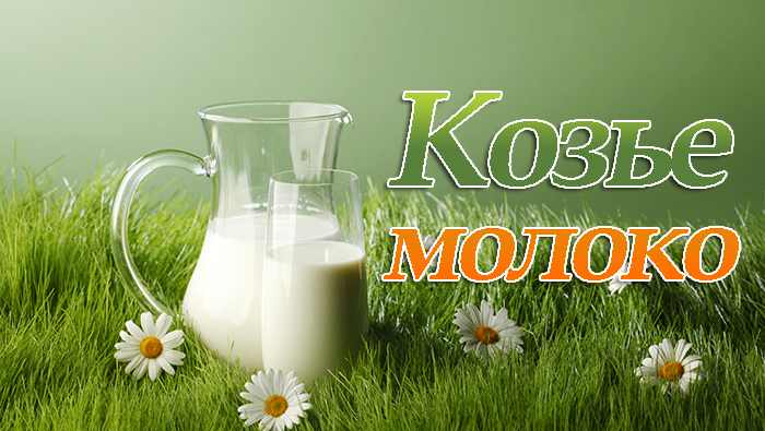 u041fu043eu043bu044cu0437u0430 u0438 u0432u0440u0435u0434 u043au043eu0437u044cu0435u0433u043e u043cu043eu043bu043eu043au0430