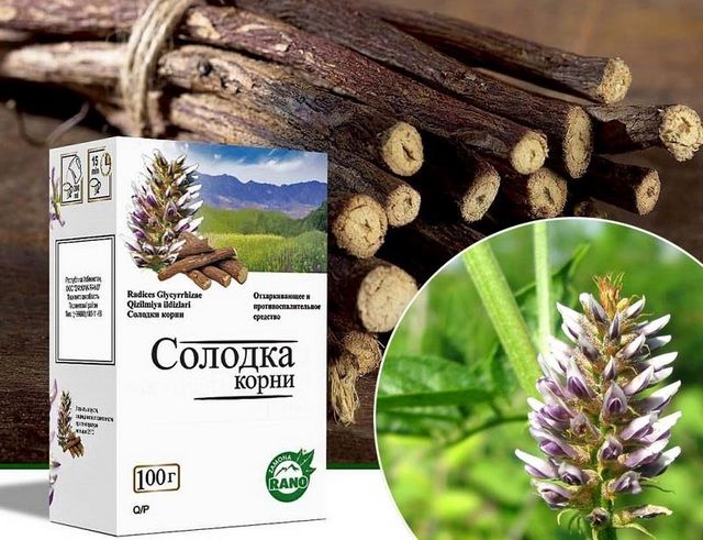 Экстракт солодкового корня: как использовать
