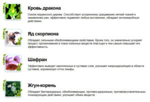 Состав пластыря обезболивающего