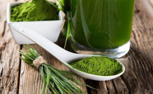 Экстракт зеленого чая и средства на его основе: что надо знать