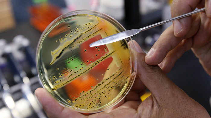 анализ кала