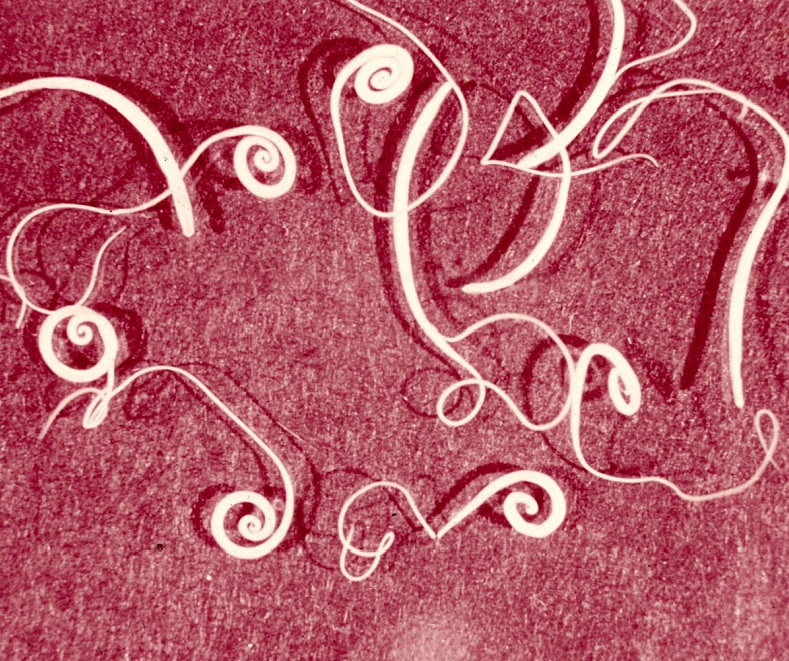 Глисты человека