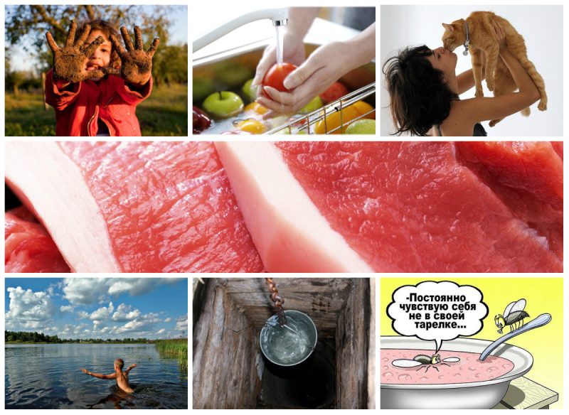 Кому рекомендуют