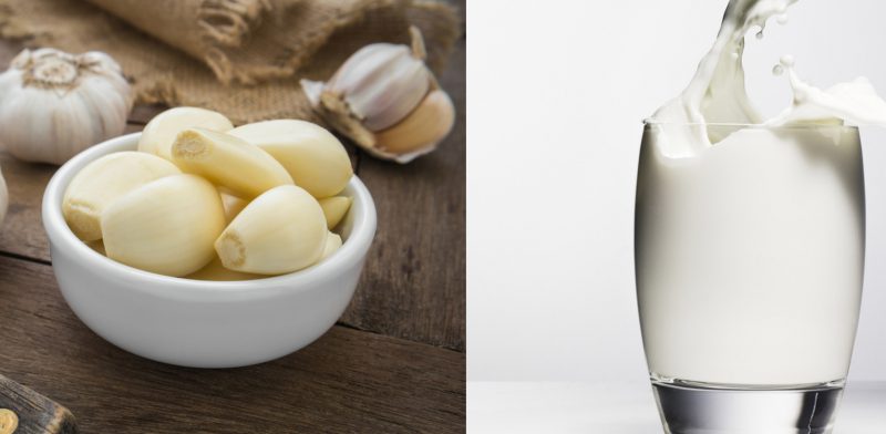 чеснок с молоком