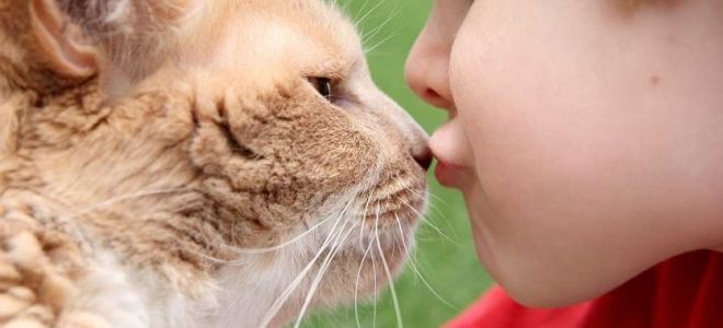 Профилактические препараты и таблетки от глистов у детей