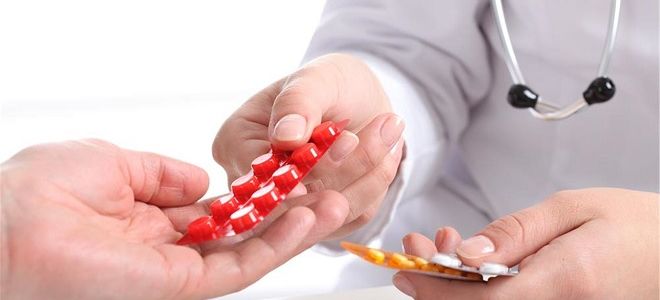 Симптомы и лечение токсокароза у взрослых