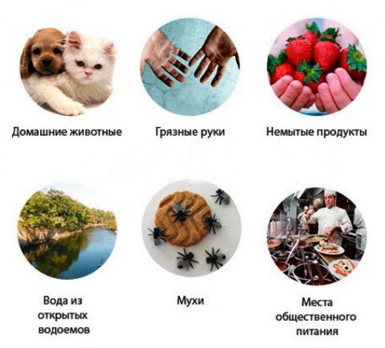 пути заражения глистами