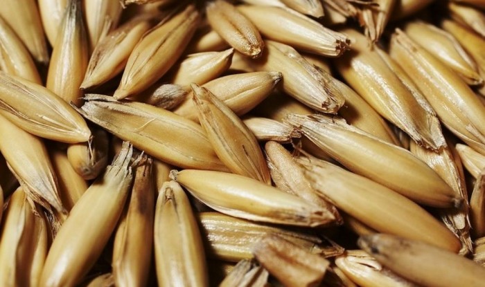 овес при диабете