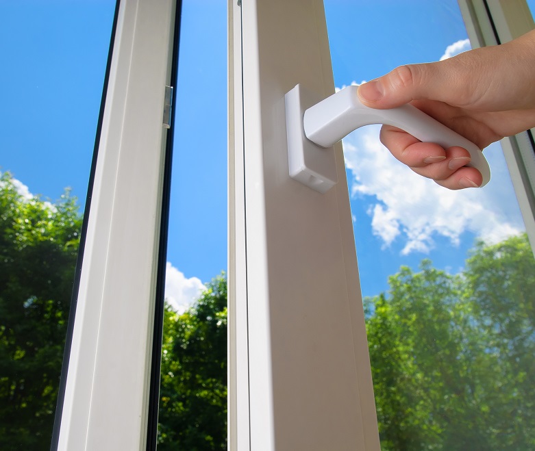 Причина заражения геменолепидозом