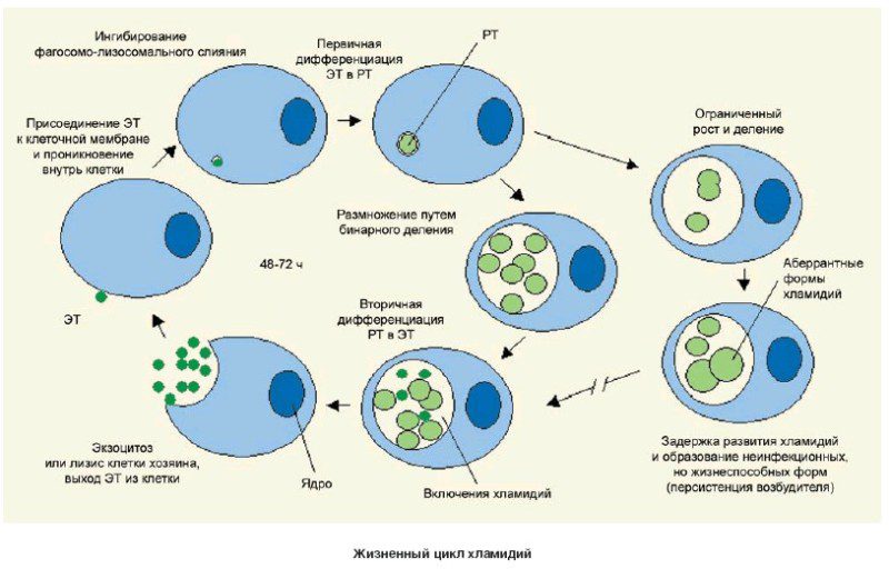 симптоматика