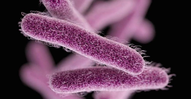 амебиаз кишечника