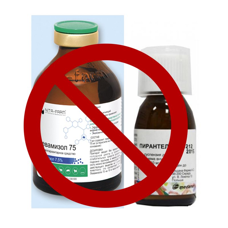 пирантел с левамизолом