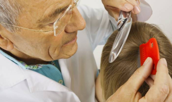 вычесывание паразитов