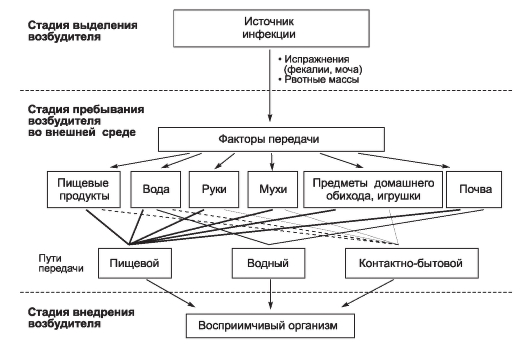 заражение глистами