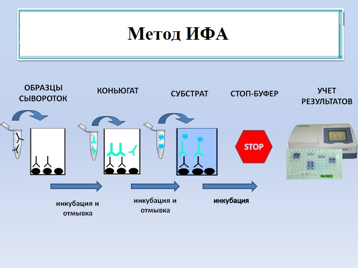 иммуноферментный анализ