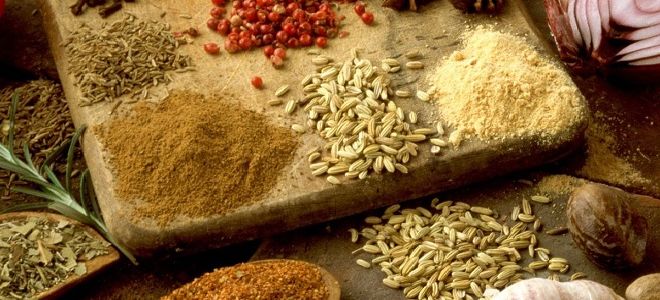 Лечение глистов народными средствами