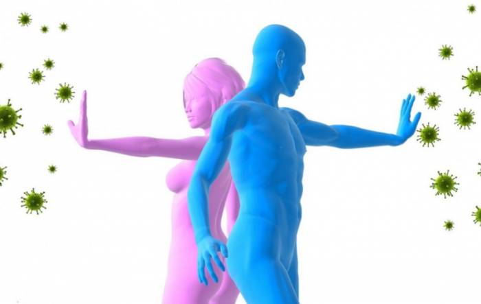 укрепление иммунитета