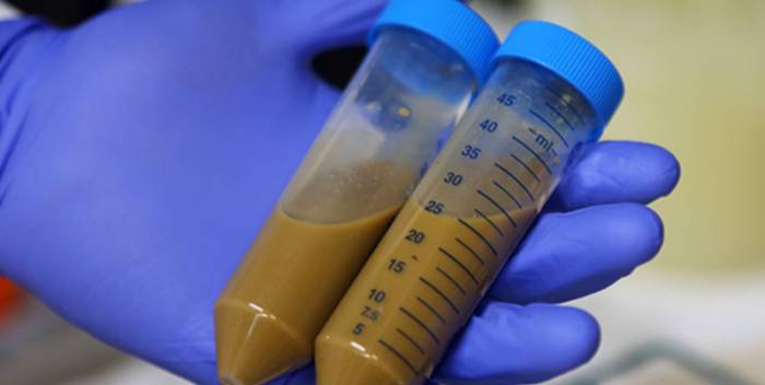 анализ кала