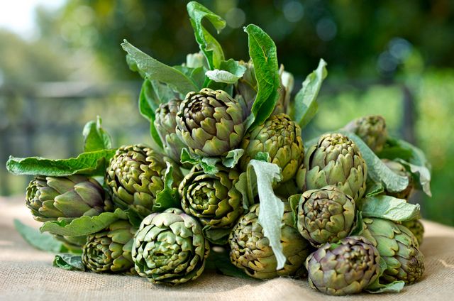 Применение экстракта артишока