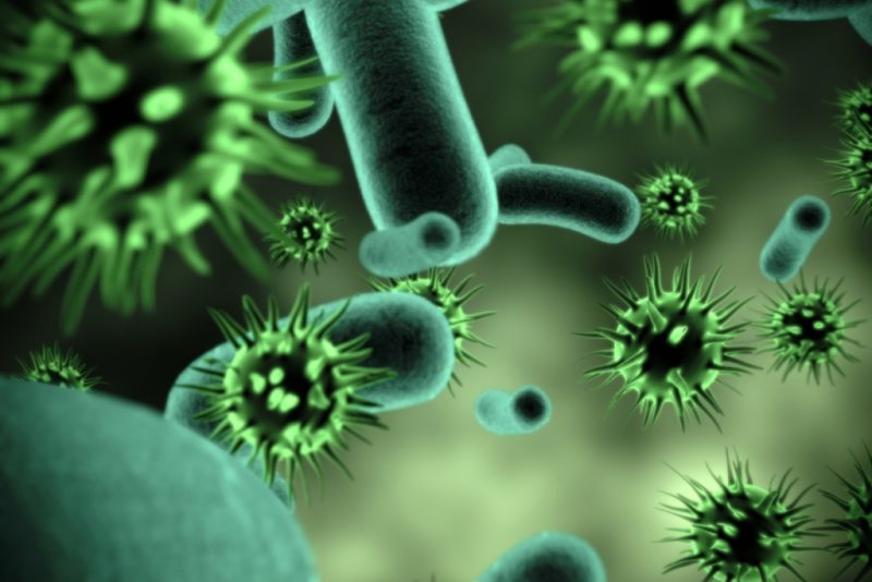 бактерии уреаплазмы