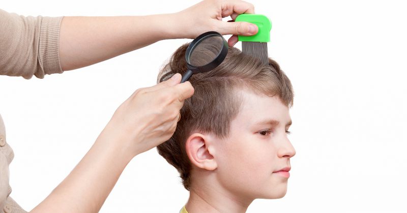 лечение вшей эфирными маслами