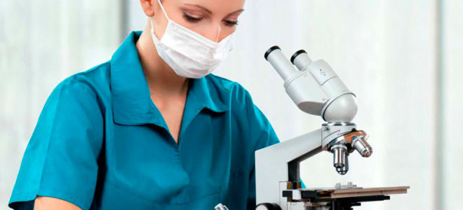 Анализ на аскаридоз