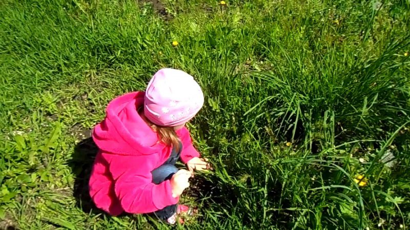 лююбознательный ребенок