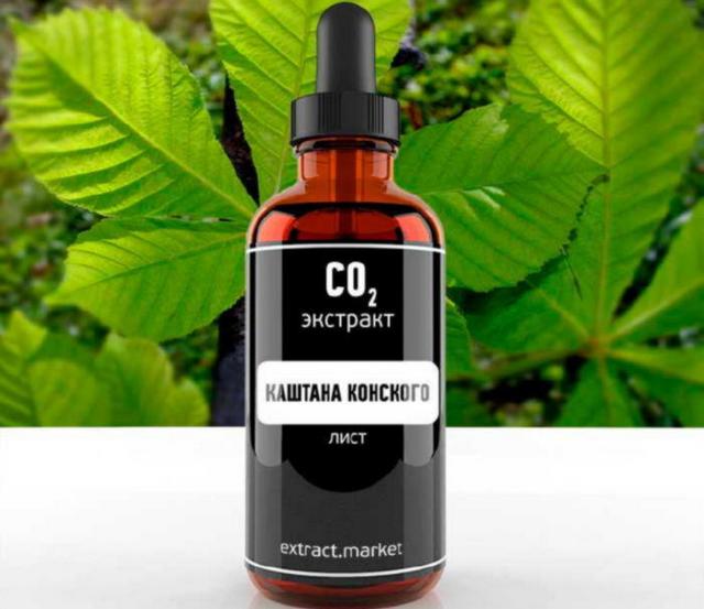 Экстракт конского каштана: особенности применения