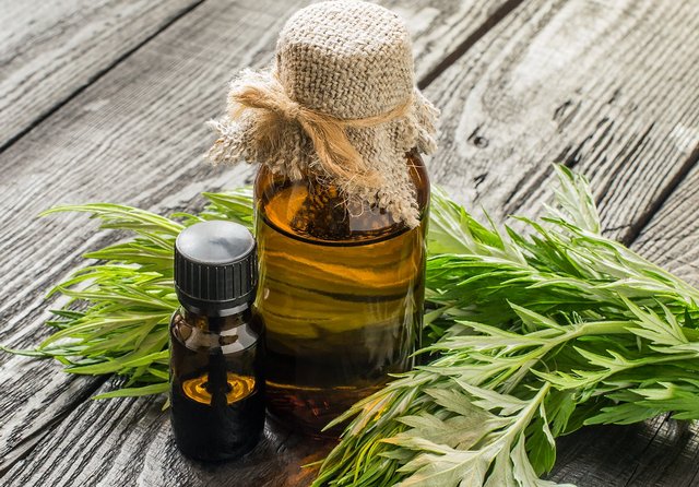 Экстракт полыни: подробнее о средстве