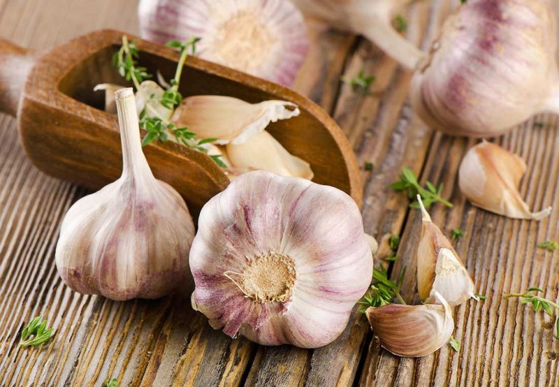 чеснок