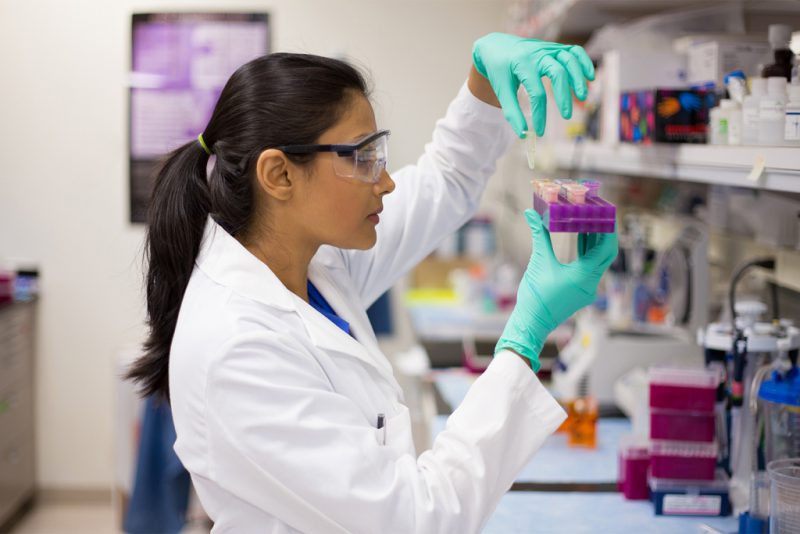 анализ на гименолепидоз