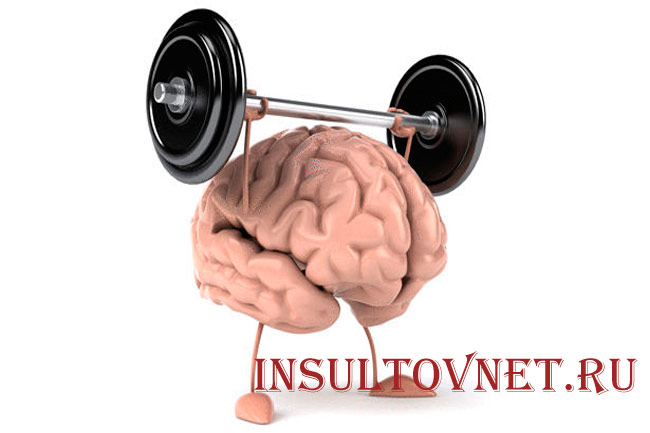 Работоспособность мозга