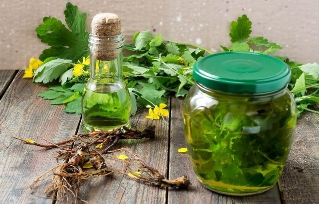 Спиртовая настойка чистотела